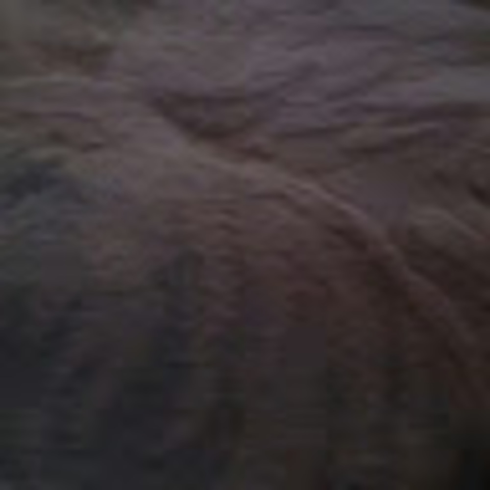 Meet your Posher, Cruz